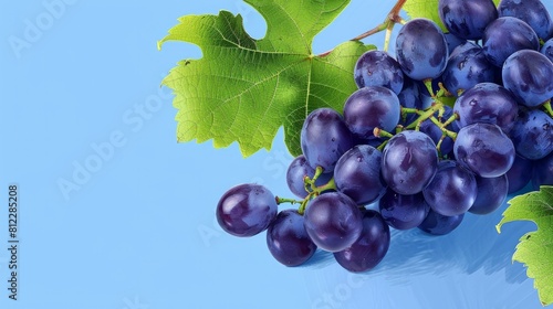 A blue background with a bunch of grapes Illustration