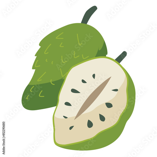 Soursop fruit vector illustration, buah sirsak or sirsat image, nangka belanda or durian belanda clipart, cartoon graviola or guanabana, guyabano or annona muricata isolated
 photo