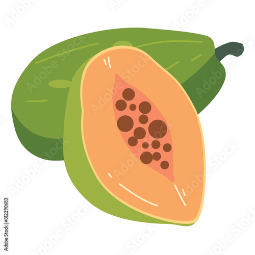 Organic papaya fruit vector illustration, whole and slices, cartoon papaw or paw paw fruits, buah pepaya or carica papaya icon isolated photo