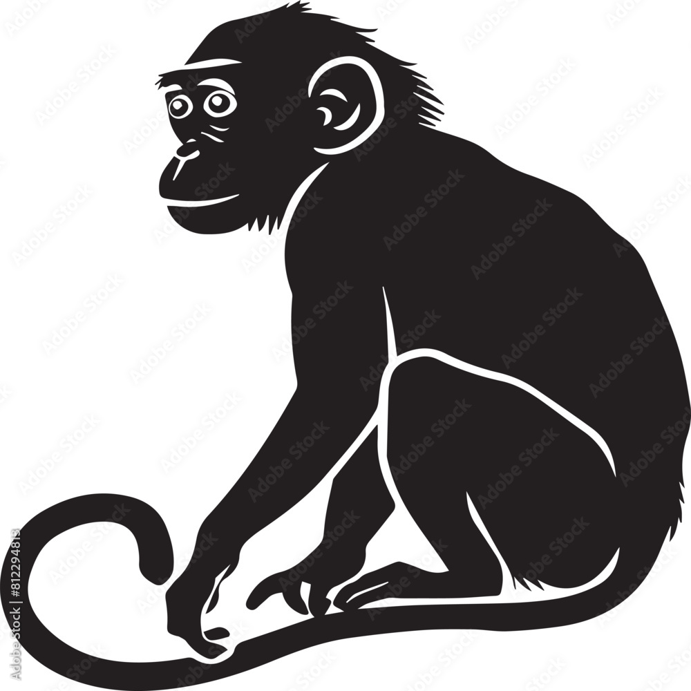 Obraz premium black and white monkey