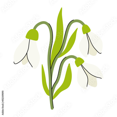 snowdrop flower flat illustration