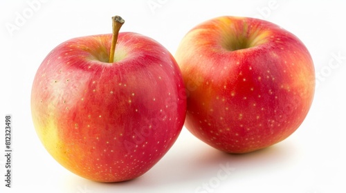 Apple  apple harvest  apple stock photo