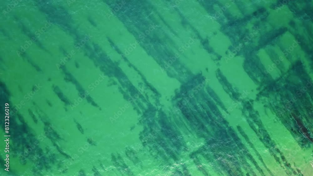 Drone view ocean surface showcasing intricate patterns of green algae in water. Drone view ocean surface showcasing intricate patterns of green algae in water.