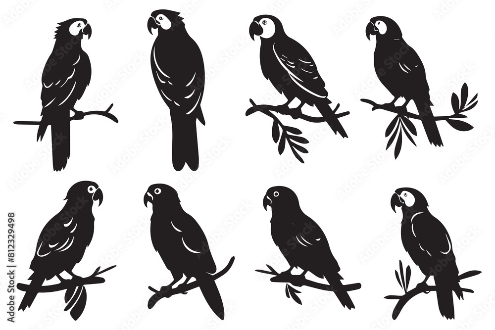 Set of silhouette parrots Vector Illustration Set of silhouette parrots Vector Illustration
