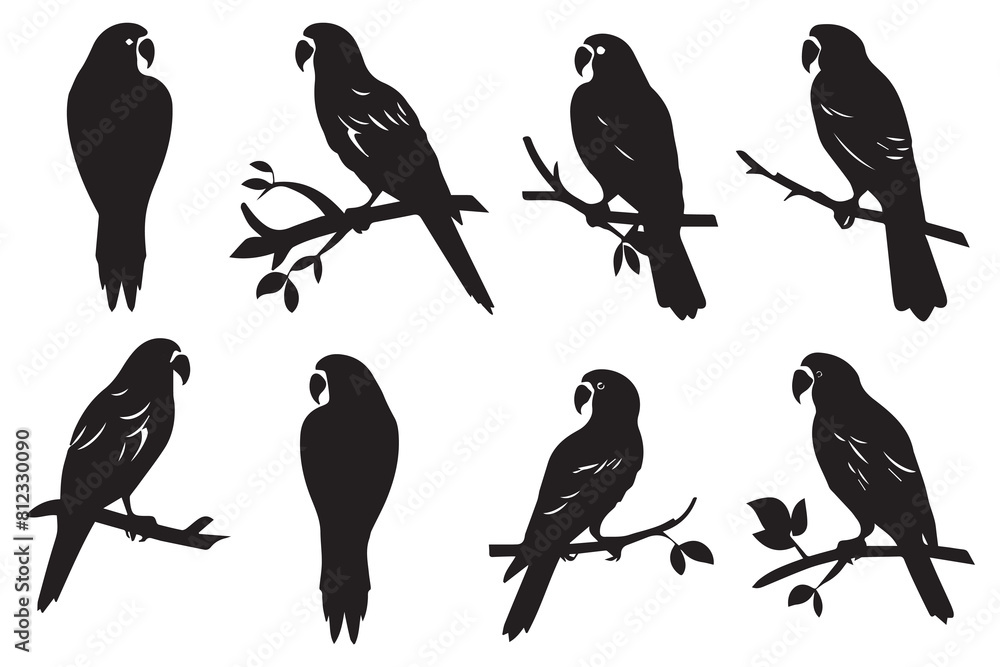 Obraz premium parrot silhouettes Vector Illustration