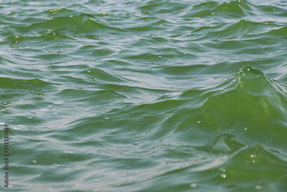 ocean water waves ripples. green water surface of the sea. background. ocean water waves ripples. green water surface of the sea. background.