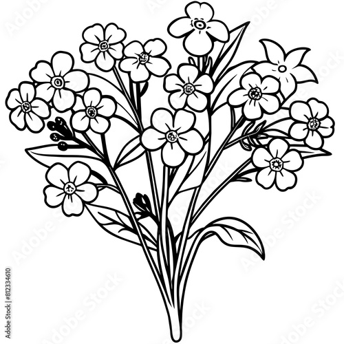 Forget Me Not flower outline coloring book page line art drawing vector illustration for children and adults