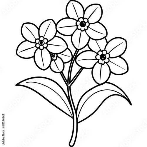 Forget Me Not flower outline coloring book page line art drawing vector illustration for children and adults