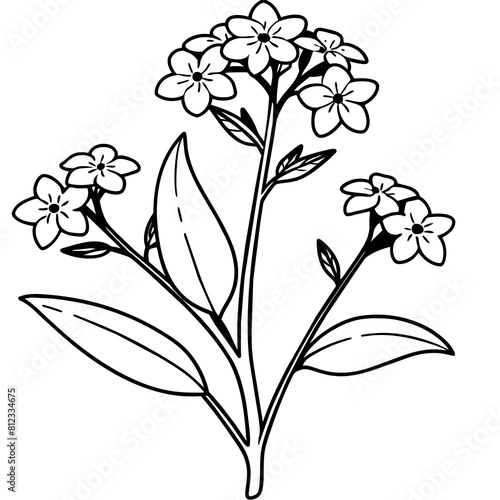 Forget Me Not flower outline coloring book page line art drawing vector illustration for children and adults