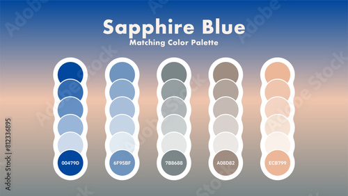 Set of Sapphire Blue Color Palette Combination in RGB Hex. Matching color palette guide swatch catalog collection with RGB HEX color combinations. Sapphire blue is a rich and vibrant color that can be