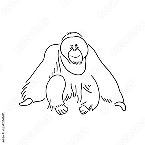 Monochrome Orangutan Outline: Tattoo-Inspired Illustration