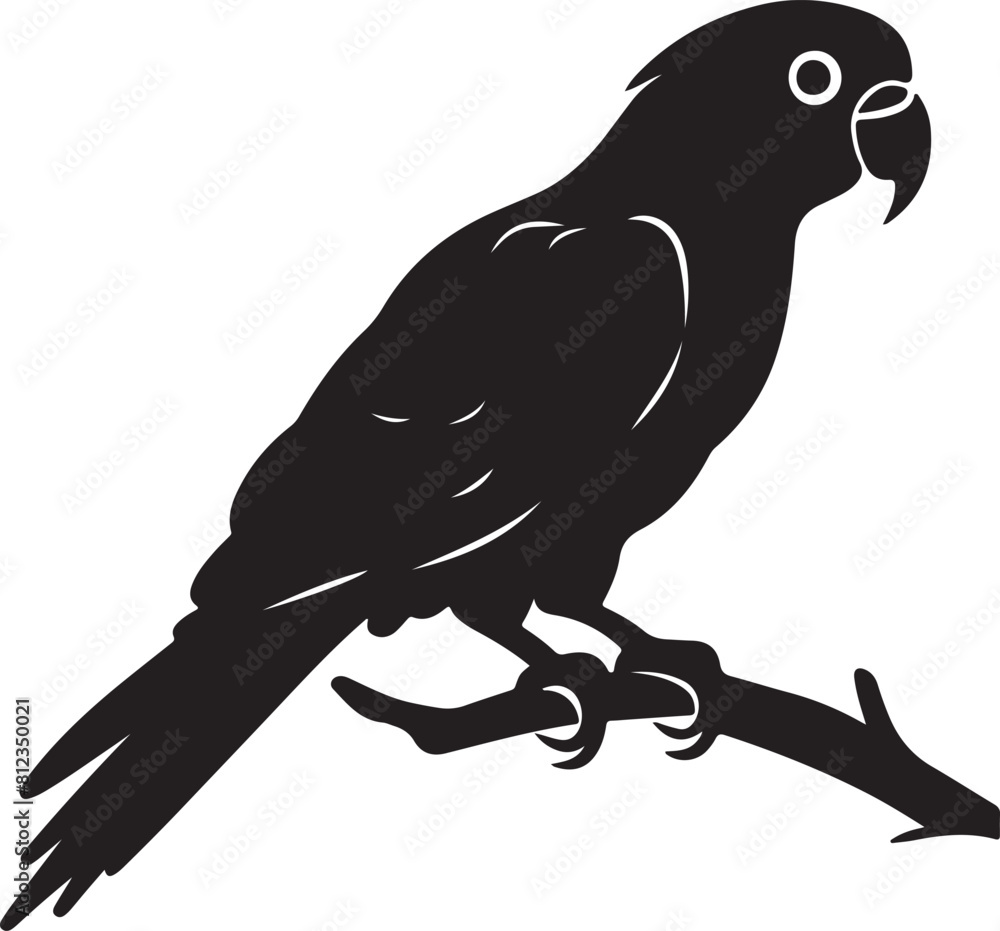 Obraz premium Parrot Silhouette Vector Illustration White Background