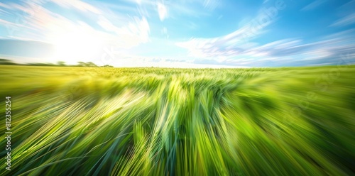 Beautiful green wheat field, motion blur, blue sky, hyper realistic photography