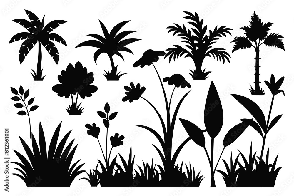 Tropical Plant And Grass In Silhouette Vector