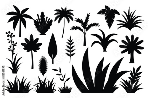 Tropical Plant And Grass In Silhouette Vector