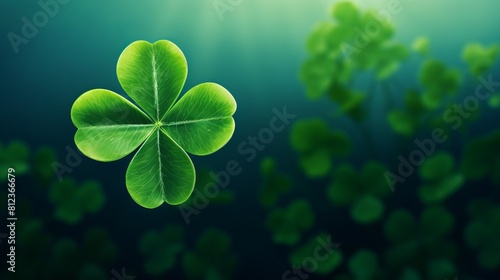 A fourleaf clover on a green background photo