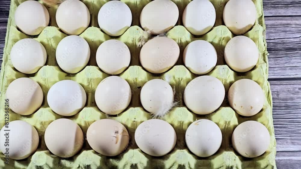 Pile of organic and natural fresh and raw hen chicken eggs, stack of eggs ready to be cooked in various cuisines, eggs which consists of egg yolk and white part albumen, isolated on wooden background Pile of organic and natural fresh and raw hen chicken eggs, stack of eggs ready to be cooked in various cuisines, eggs which consists of egg yolk and white part albumen, isolated on wooden background