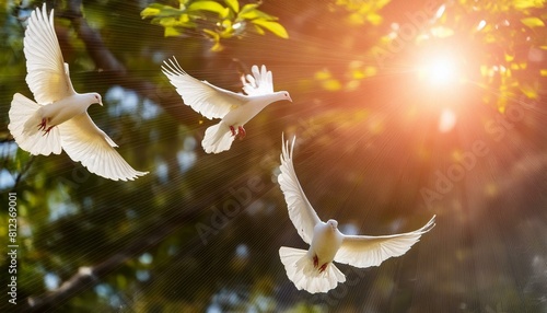 Flying white doves and bright sunlight on the background photo