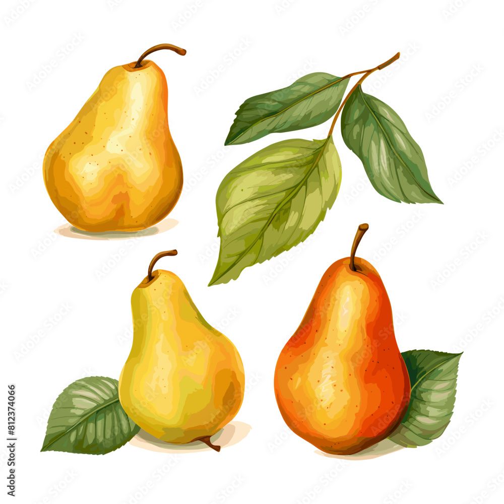 a drawing of pears and a pear with a leaf a drawing of pears and a pear with a leaf