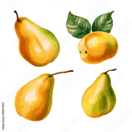 a drawing of pears and a pear with a leaf