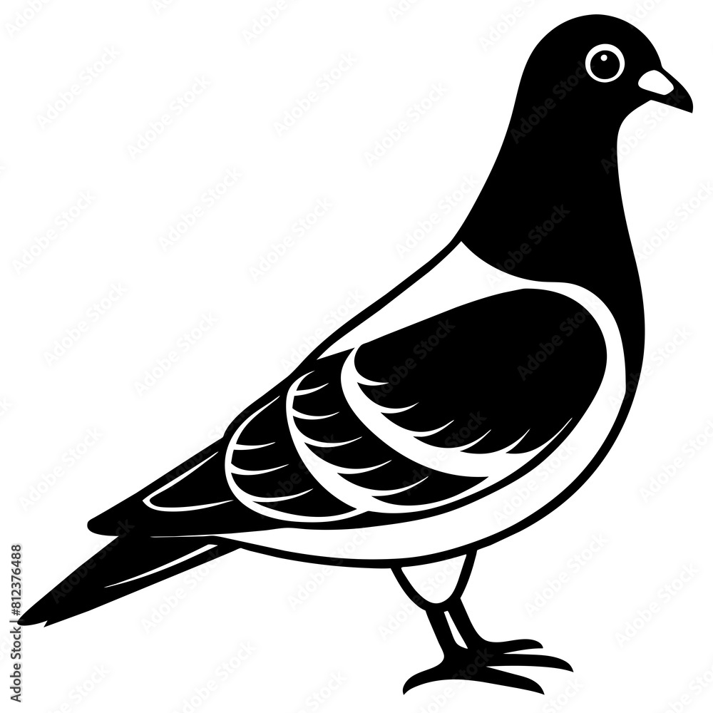 Obraz premium Pigeon vector silhouette illustration