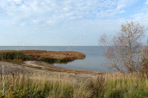 Fotografi The coast of the Curonian Lagoon. Kaliningrad region