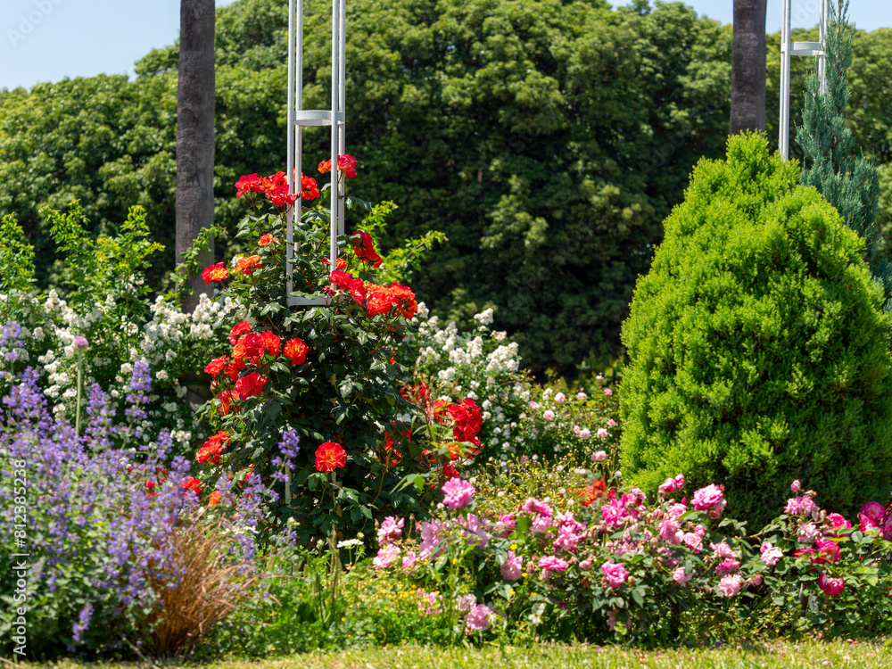 Fototapeta premium 鮮やかな花が咲く春の植物園