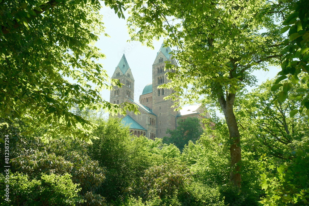 Naklejka premium Dom zu Speyer