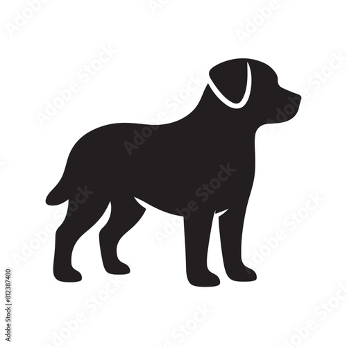 isolated black silhouette of a dog collection, Set of dog silhouette vector. Dogs and puppies in different breed, corgi, golden retriever, poses, sitting, standing, jump