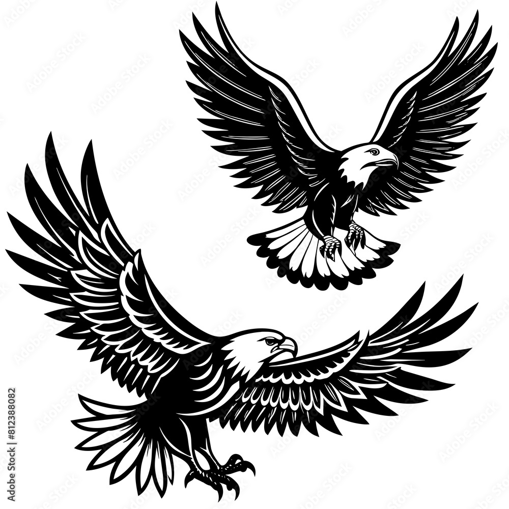 2-different-style-strong-eagle-flying-in--white-ba