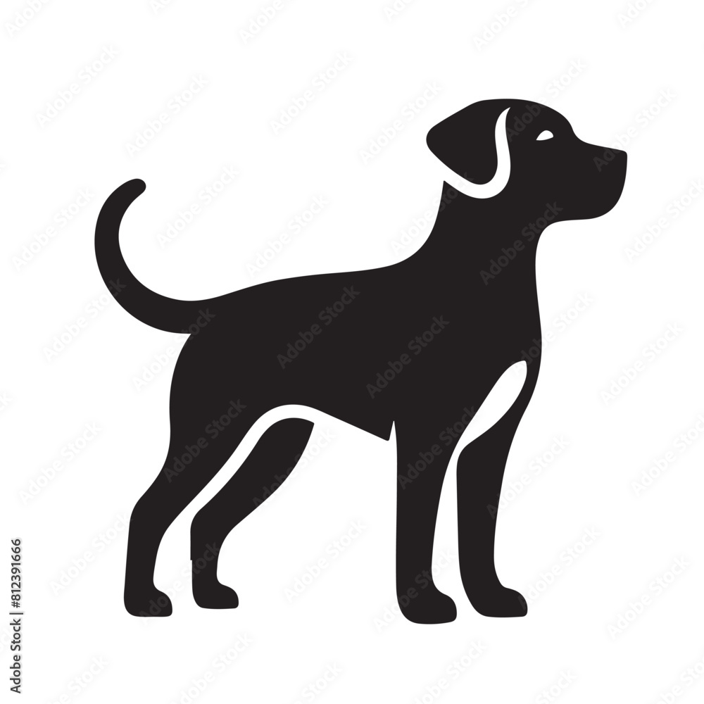isolated black silhouette of a dog collection, Set of dog silhouette vector. Dogs and puppies in different breed, corgi, golden retriever, poses, sitting, standing, jump isolated black silhouette of a dog collection, Set of dog silhouette vector. Dogs and puppies in different breed, corgi, golden retriever, poses, sitting, standing, jump