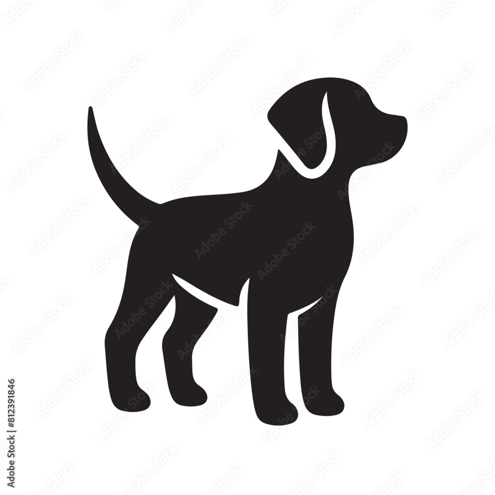isolated black silhouette of a dog collection, Set of dog silhouette vector. Dogs and puppies in different breed, corgi, golden retriever, poses, sitting, standing, jump isolated black silhouette of a dog collection, Set of dog silhouette vector. Dogs and puppies in different breed, corgi, golden retriever, poses, sitting, standing, jump