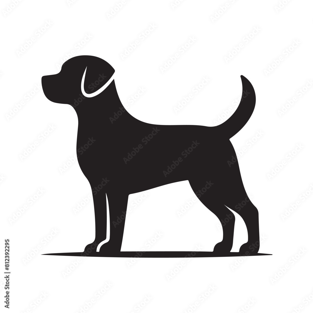 isolated black silhouette of a dog collection, Set of dog silhouette vector. Dogs and puppies in different breed, corgi, golden retriever, poses, sitting, standing, jump isolated black silhouette of a dog collection, Set of dog silhouette vector. Dogs and puppies in different breed, corgi, golden retriever, poses, sitting, standing, jump