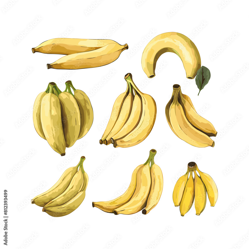 a drawing of bananas with the word quot bananas quot on it