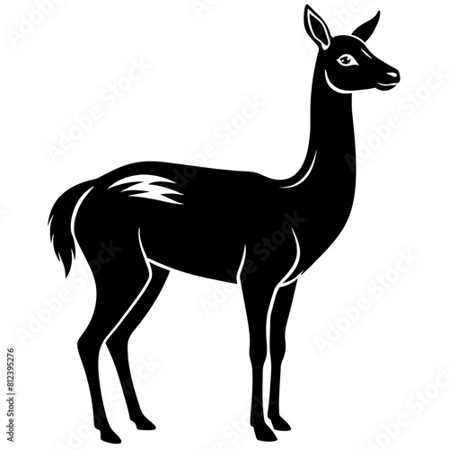 vicuna-silhouette-vector