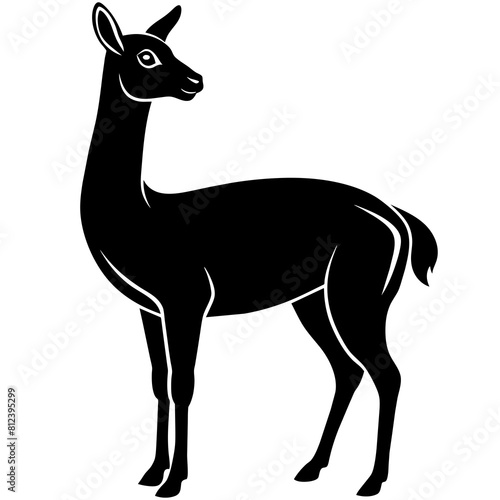 vicuna-silhouette-vector © VarotChondra