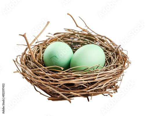 Wallpaper Mural Green eggs in a nest on transparent background Torontodigital.ca