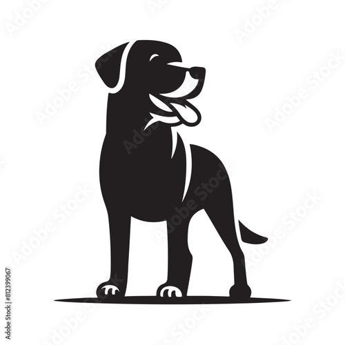 isolated black silhouette of a dog collection  Set of dog silhouette vector. Dogs and puppies in different breed  corgi  golden retriever  poses  sitting  standing  jump