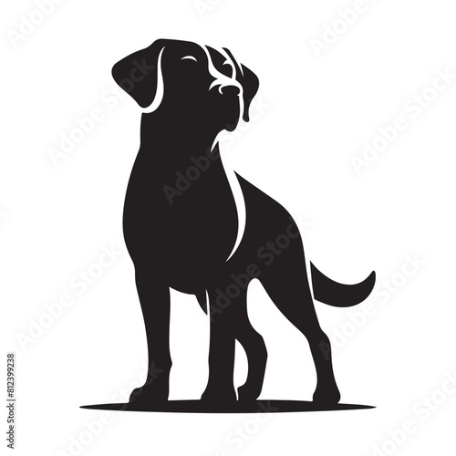 isolated black silhouette of a dog collection, Set of dog silhouette vector. Dogs and puppies in different breed, corgi, golden retriever, poses, sitting, standing, jump
