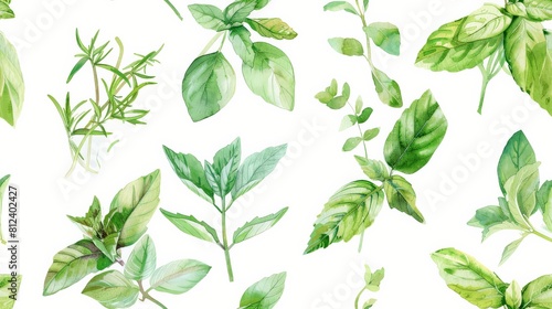 Watercolor herbs, including basil and mint, perfect for culinary or garden themes seamless pattern