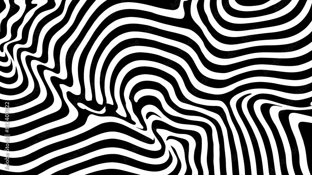 black and white stripes of a zebra