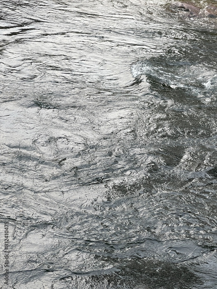 Fototapeta premium nature landscape waterfall in the forest