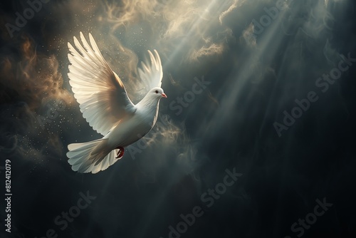 white dove of peace flies out from dark clouds with rays of light photo