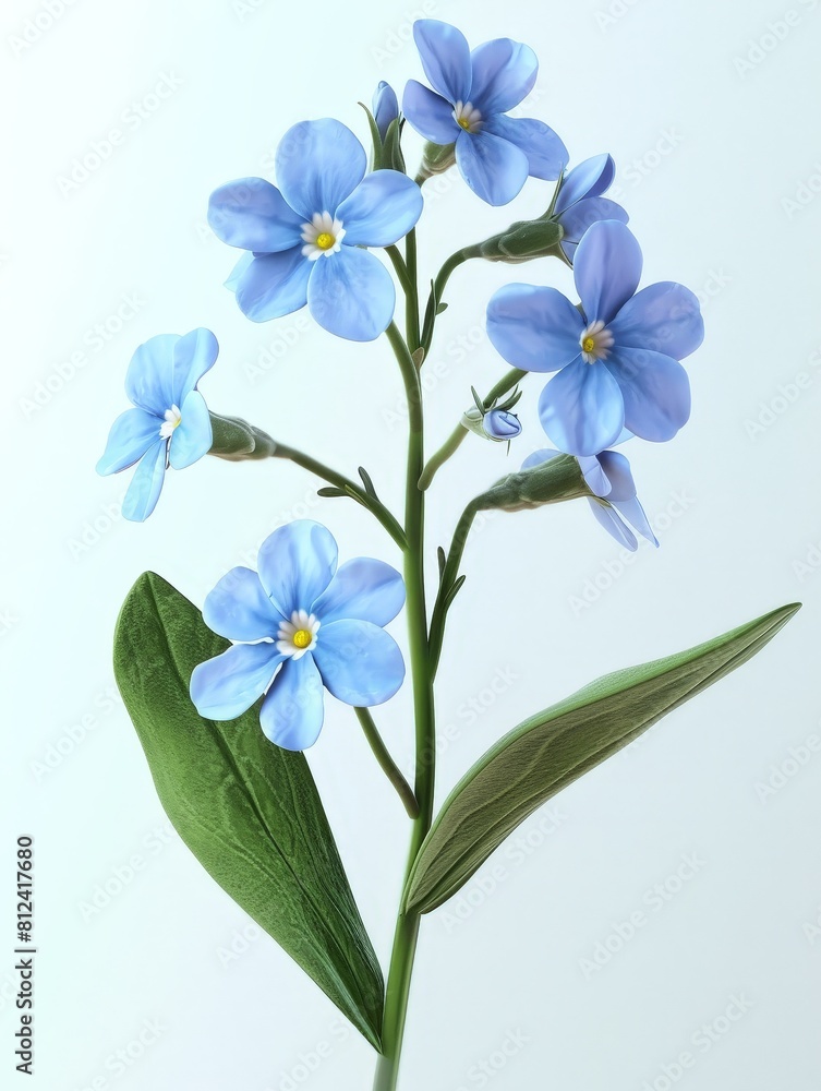 bouquet of blue flowers bouquet of blue flowers
