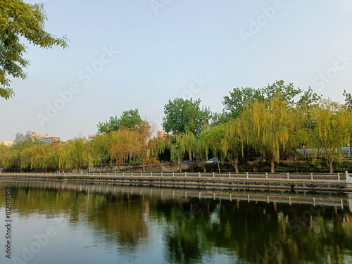China, Beijing, weeping willows near the water