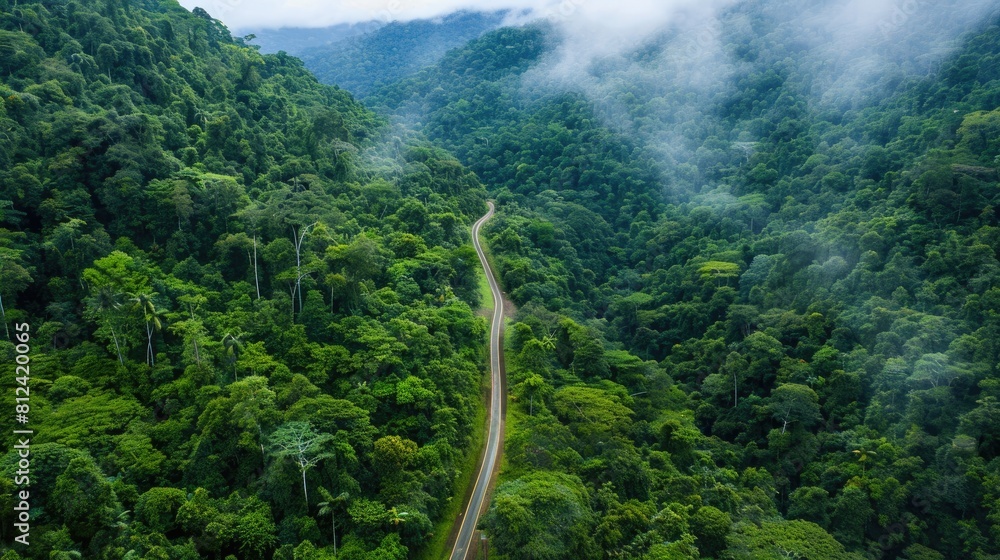 A winding road cuts through the heart of the forest meandering up the mountainside amidst vibrant rainforest ecosystems embodying the essence of a sustainable and thriving environment