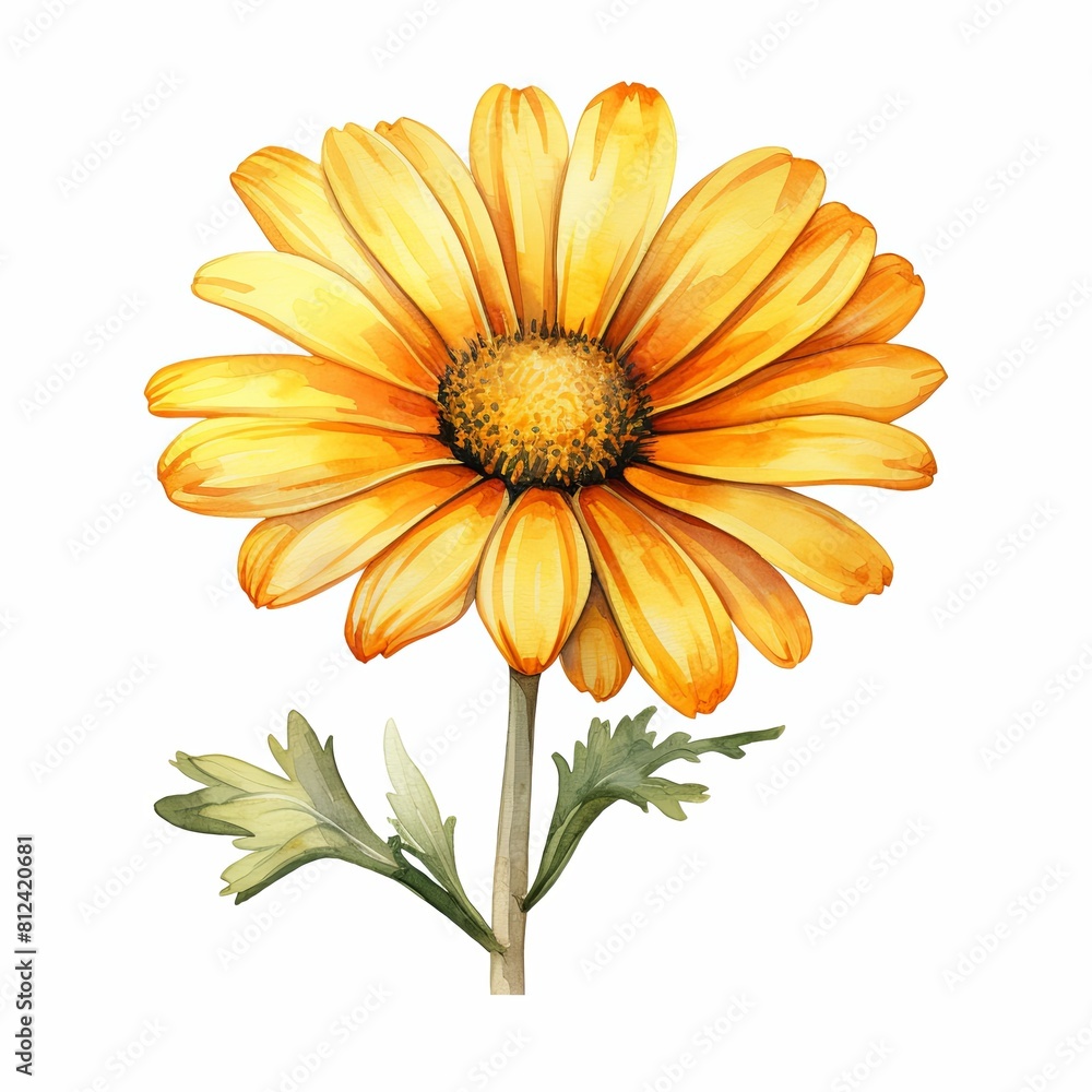 A watercolor painting of a yellow daisy with a white background. A watercolor painting of a yellow daisy with a white background.