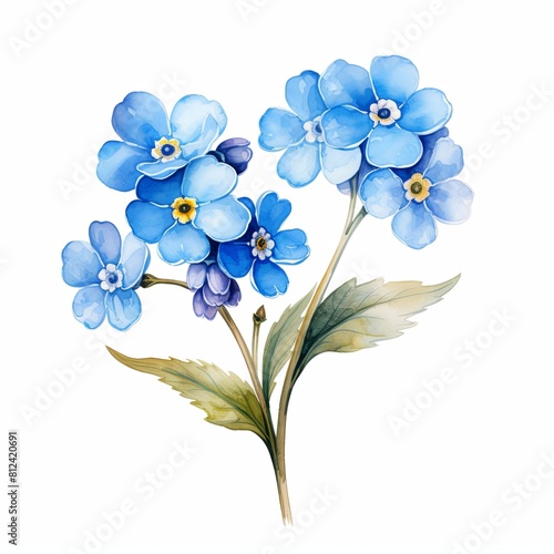 A watercolor painting of blue forget-me-not flowers. © enterdigital