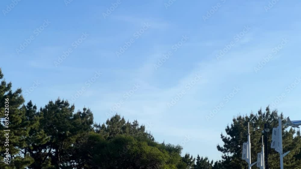 Clear blue sky over lush green trees with visible urban elements, capturing a serene suburban atmosphere, plane flying overhead Clear blue sky over lush green trees with visible urban elements, capturing a serene suburban atmosphere, plane flying overhead