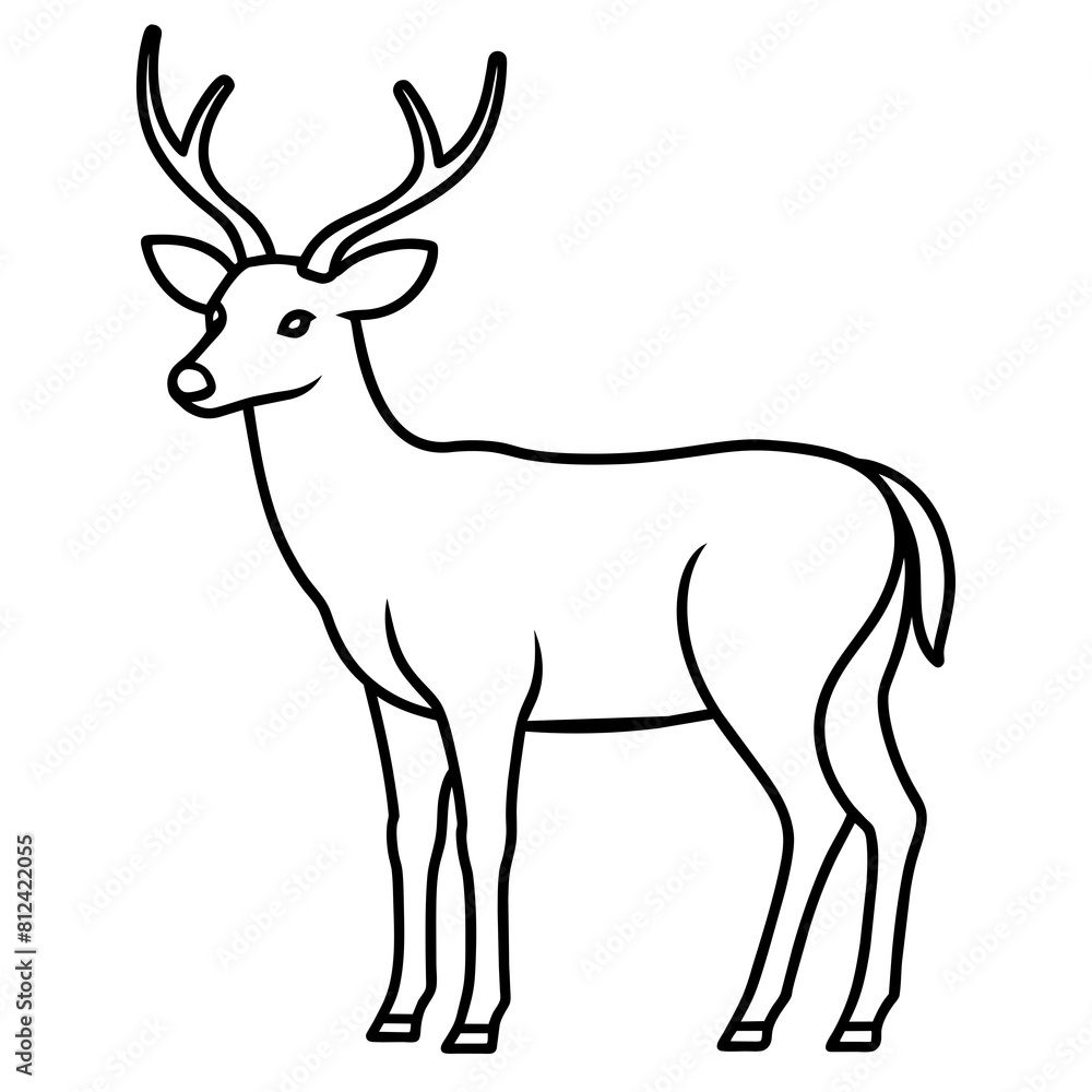 one-line-sketch-of-deer